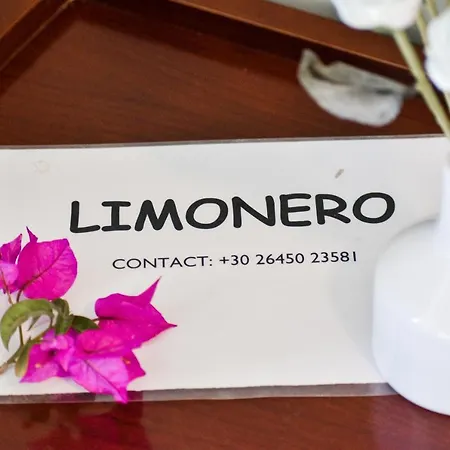 Apartment Limonero New 2 With Private Parking Lefkada City